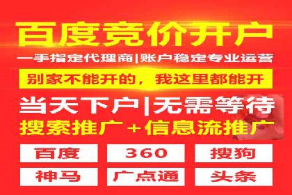网络推广秘籍：竞价排名成功案例集锦